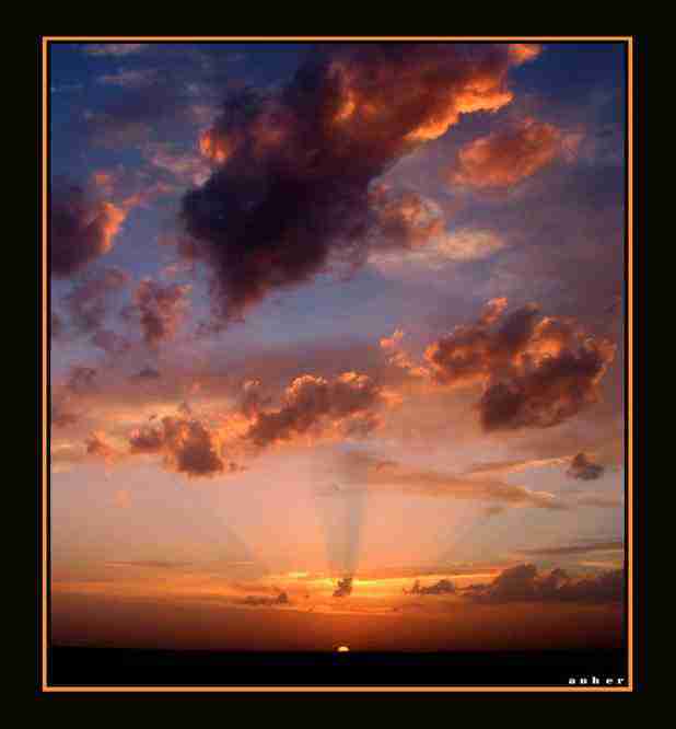 咸宁职业技术学院校花陆知南