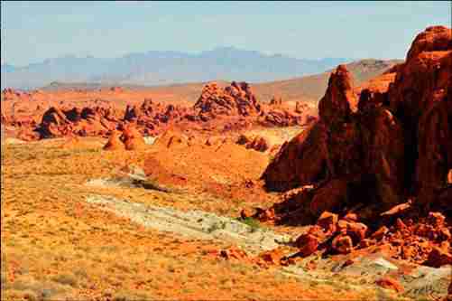 香港城市大学（东莞）校花康云柠